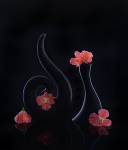  作： 