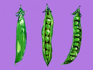  作： Alice Straker