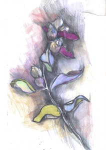 色鮮やかな植物スケッチ 作： 