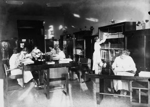 ヴィラ・ローザ・マルトニ・ムッソリーニ：図書館で勉強する（モノクロ写真 作： Fratelli Alinari