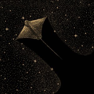 コズミック・イーグル・レイ 作： 