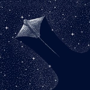 コズミック・イーグル・レイ 作： 