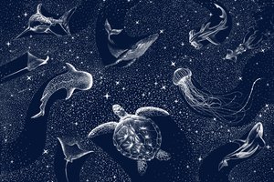 宇宙の海の生き物たち 作： 