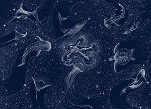 コズミック・オーシャン・ドリーム 作： 