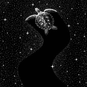 宇宙のウミガメ 作： 