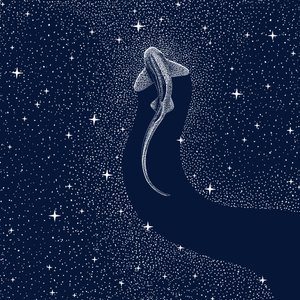 コズミック・シャーク 作： 