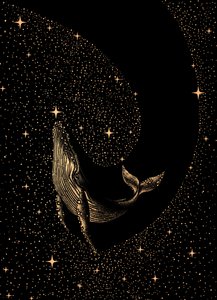 宇宙のクジラの夢 作： 