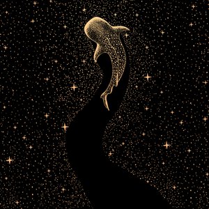 宇宙のジンベエザメ 作： 