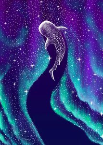 オーロラ・ホエールシャーク 作： 