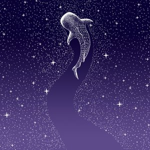 スターイーター ダークブルーからパープルへのグラデーション 作： 