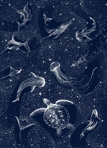 星空の海の生き物たち 作： 
