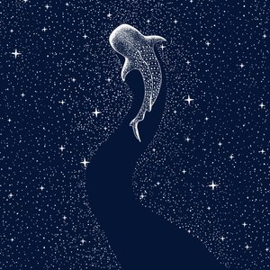 星模様のジンベエザメ 作： 