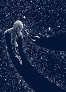 ジンベエザメの宇宙の旅 作： 