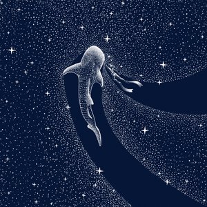 ジンベエザメの銀河の旅 作： 