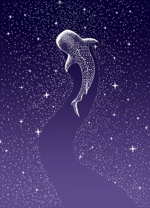 ジンベエザメと泳ぐ 作： 