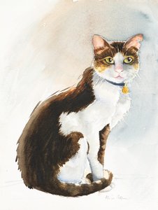サウジ猫のデイブ、2019年（水彩） 作： Alison Cooper