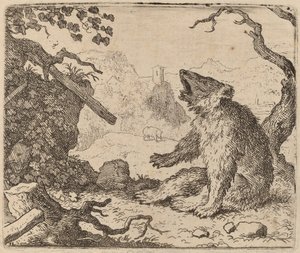 メッセンジャーとして送られたクマ、おそらくc。 16451656。 作： Allart van Everdingen