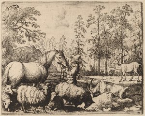 馬と鹿、おそらくc。 16451656。 作： Allart van Everdingen