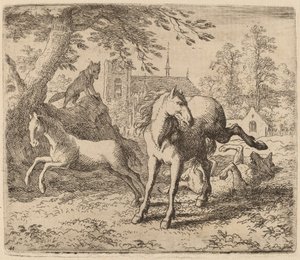 牝馬と狼、おそらく c. 16451656。 作： Allart van Everdingen