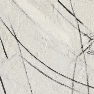 抽象的な黒い線 作： Alma