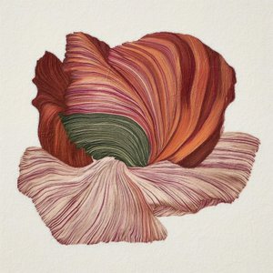 色とりどりのオーガニック・ブルーム