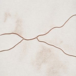 繊細なオーガニック・フロー