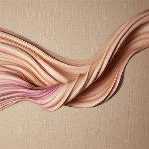 流れるような有機的な曲線