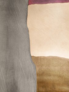 オーガニック・カラー・フィールズ 作： 