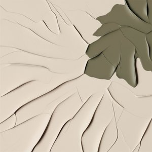 有機的な流線形 作： Alma