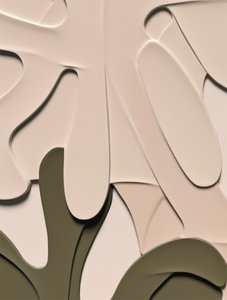 有機的な層状形態