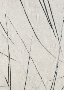 オーガニック・ラインズの質感