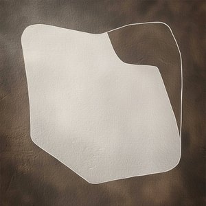 オーガニック・ミニマル・シェイプ