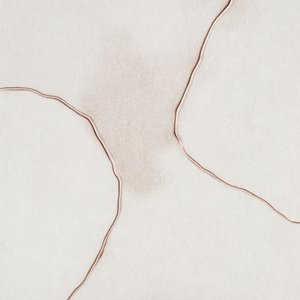 柔らかな流体のようなフォルム