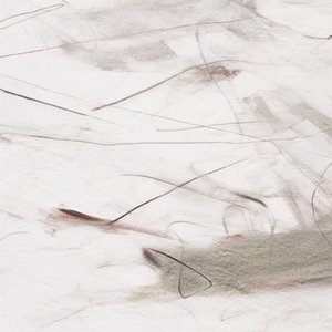 繊細で流れるようなライン 作： Alma