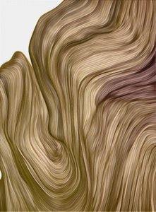 繊細で流れるような曲線