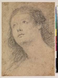 見つめる女性の頭部（直腸） 作： Alonso Miguel de Tovar