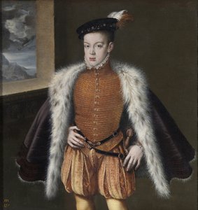 ドンカルロス、プリンスオブアストゥリアス、1555-1559 作： Alonso Sánchez Coello