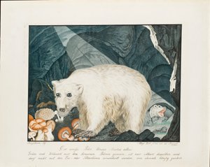 ホワイトベア、1844