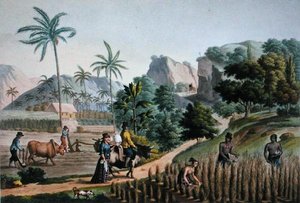 グアム島。ポメルが1825年に出版した「Voyage Autour du Monde sur les Corvettes de L