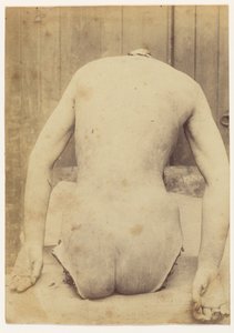 トランク背面 作： Alphonse Bertillon