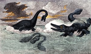 リアス期（下部ジュラ紀）：プレシオサウルスとイクチオサウルス、天地創造と生物（ジュール・レンガード作） A.デマール作画1885