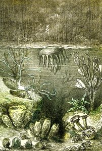 先史時代-テール・エ・メール：シルル紀の始まり（J. Rengade.デマールによるデッサン。1885 作： Alphonse Demarle