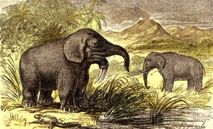 先史時代-中新世：右からディノテラム、マストドンテ。自然創造と生物。A.デマールによるデッサン。1885 作： Alphonse Demarle