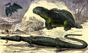 先史時代 - ジュラ紀：テレオサウルスとハイレオサウルス。二階の翼竜。自然創造と生物。A.デマールによるデッサン。1885 作： Alphonse Demarle