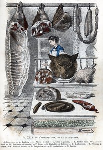 コールド カットの図 A ハーフ ポーク (ハム b アロヨウ c サイドと胸肉) B 生ハム C スモーク ハム D ソーセージとセレベラ F フレ G モルタデル デ ボローニャ H ハム I 豚チーズ K 豚足 L タン詰め M アンドイエット N ブーダン) (デリカテッセン、伝統的なフランス料理 p 作： Alphonse Demarle