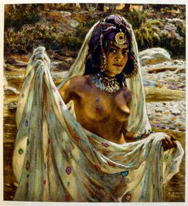 「Mirages」Scenes of Arab life の Dinet によるイラスト。 1906年。ミラージュ、シーン・デ・ラ・ヴィ・アラブは、エティエンヌ・ディネットによってイラストが描かれ、シルマン・ベン・イブラヒム・バーマーによる解説が付けられました。 Nasreddine Dinet は、Alphonse-Étienne Dinet として生まれました。 (1861-1929) はフランスの東洋人でした