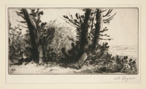 トラバースチャンピオン（アクロスカントリー） 作： Alphonse Legros