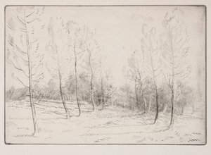 ポプラ通り 作： Alphonse Legros