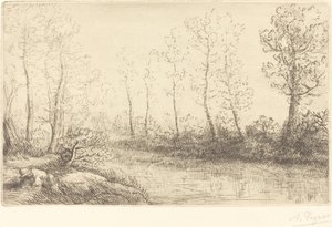 白樺の木: 朝の光で見られる水の端 白樺の木: 朝の光で見られる水の端。 作： Alphonse Legros