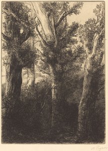 ドイツの森、ダウンリー。 作： Alphonse Legros